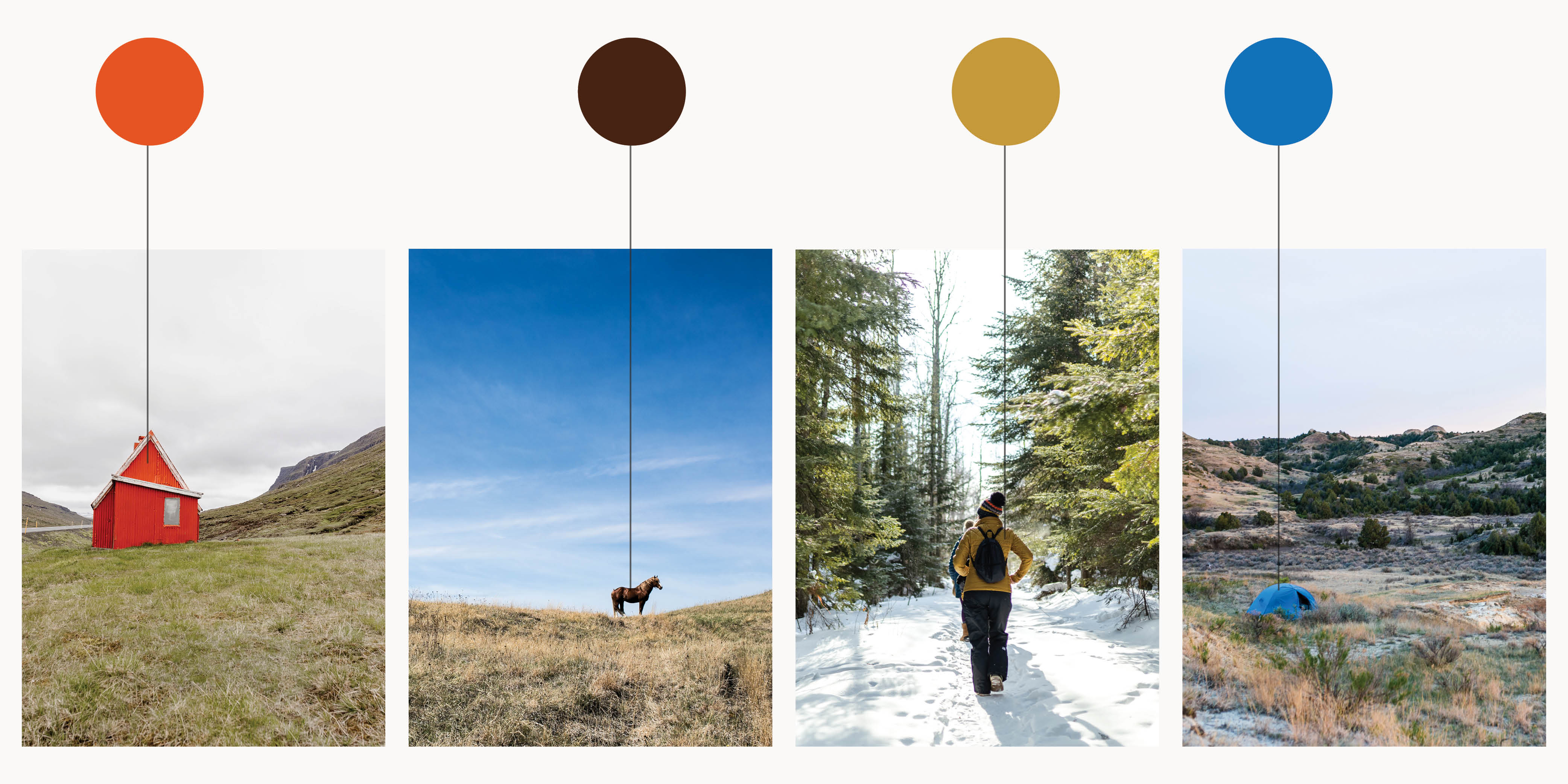 Four images with accent color circles