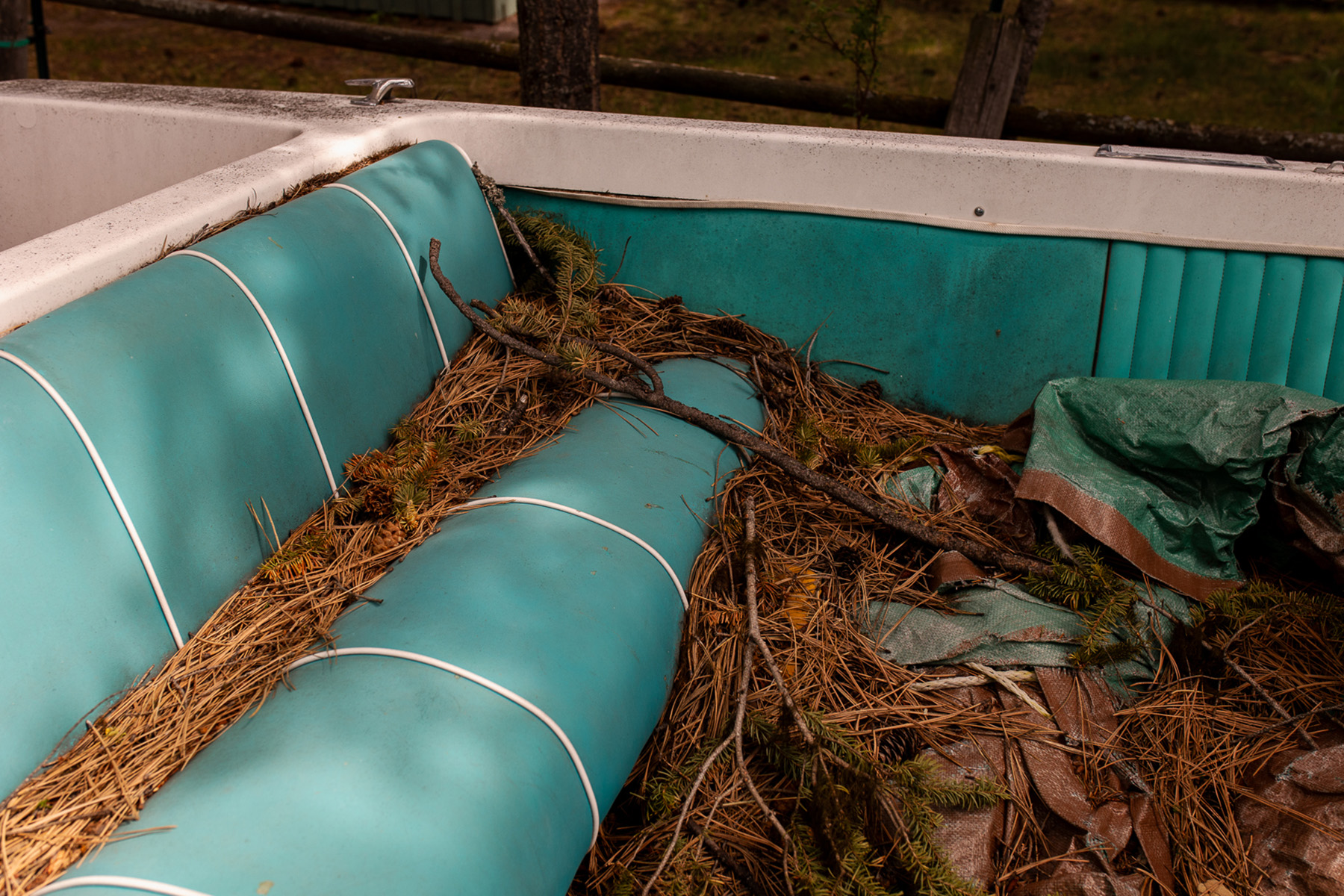 boat with teal seats covered in pine needles