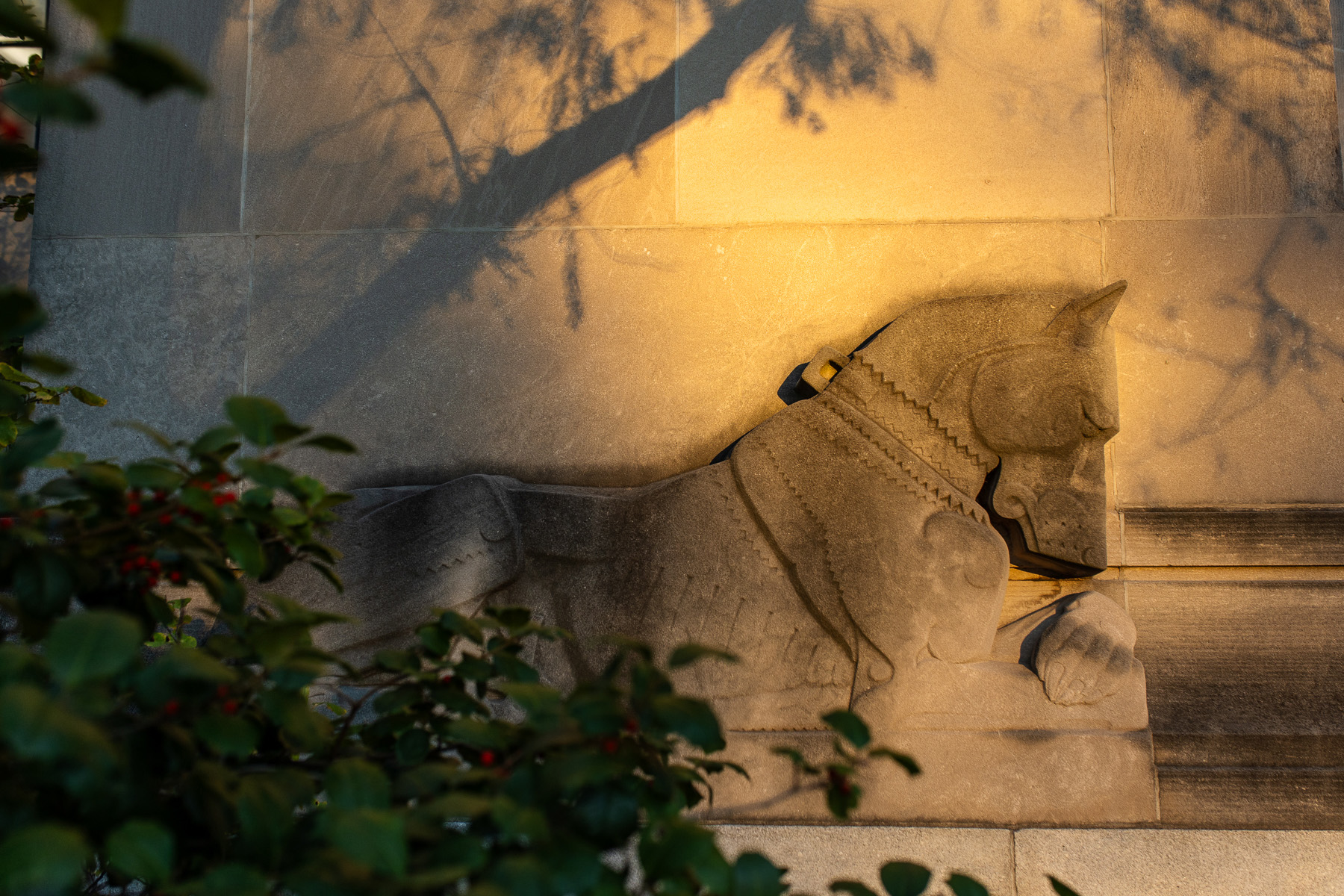 sunsetting on library building