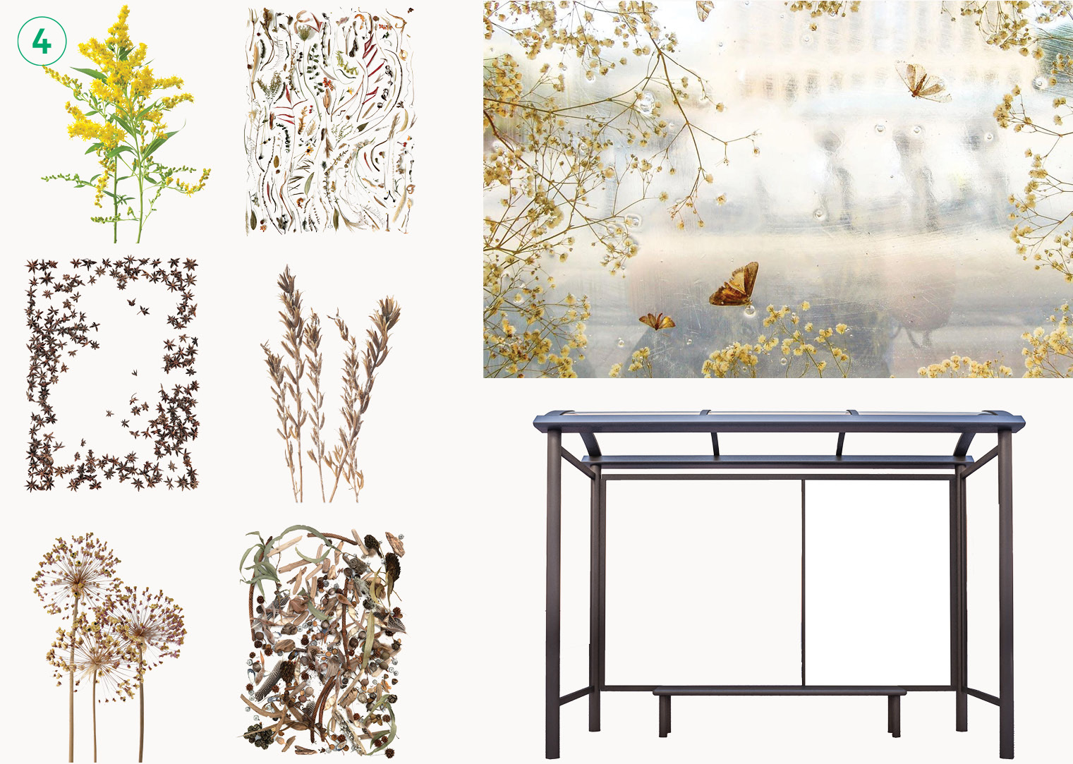 art displays of plants and seeds