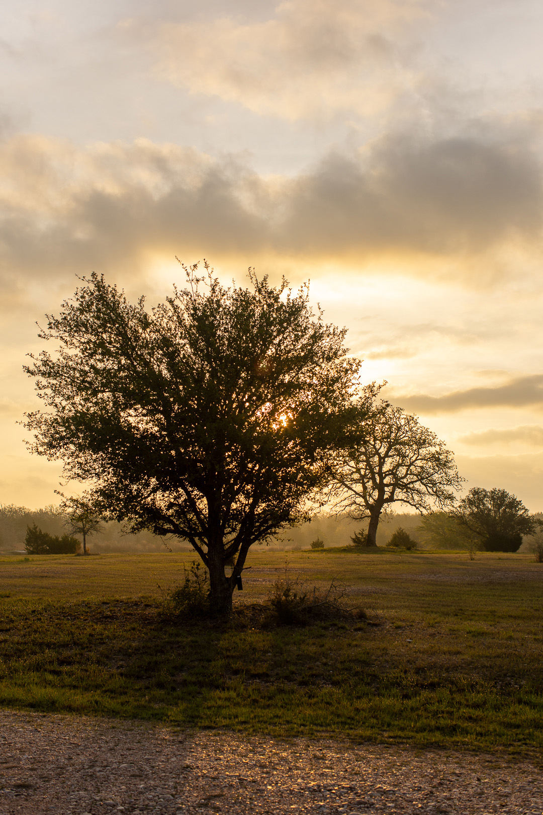 sunrise in Round Top, Texas